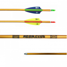 Merlin Neon Club 1618 Beginners Alloy Arrows (set of 12)  Full Length 32" : MS20
